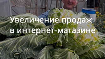 Увеличение продаж в интернет-магазине